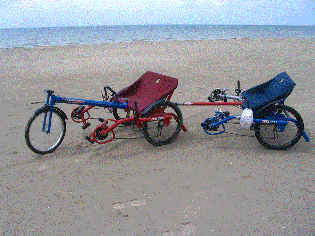 Ricksycle Quad Rider, Pedal, Support, Custom, Ricksycle